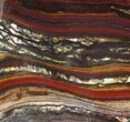 Polished Tiger Iron Stromatolite - ( Billion Years) #92959-1